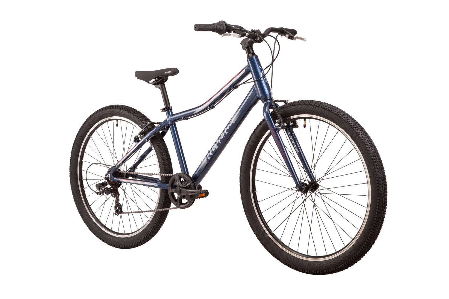 Raleigh terrain 10 27.5 2025